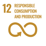 An arrow forming the infinity symbol with the number 12 and the words "Responsible Consumption and Production."