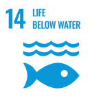An icon of waves with a stylized fish beneath them. The number 14 and the words "Life Below Water" appear above the icon.